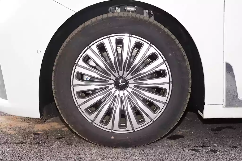 Voyah Dreamer EV picture (2)