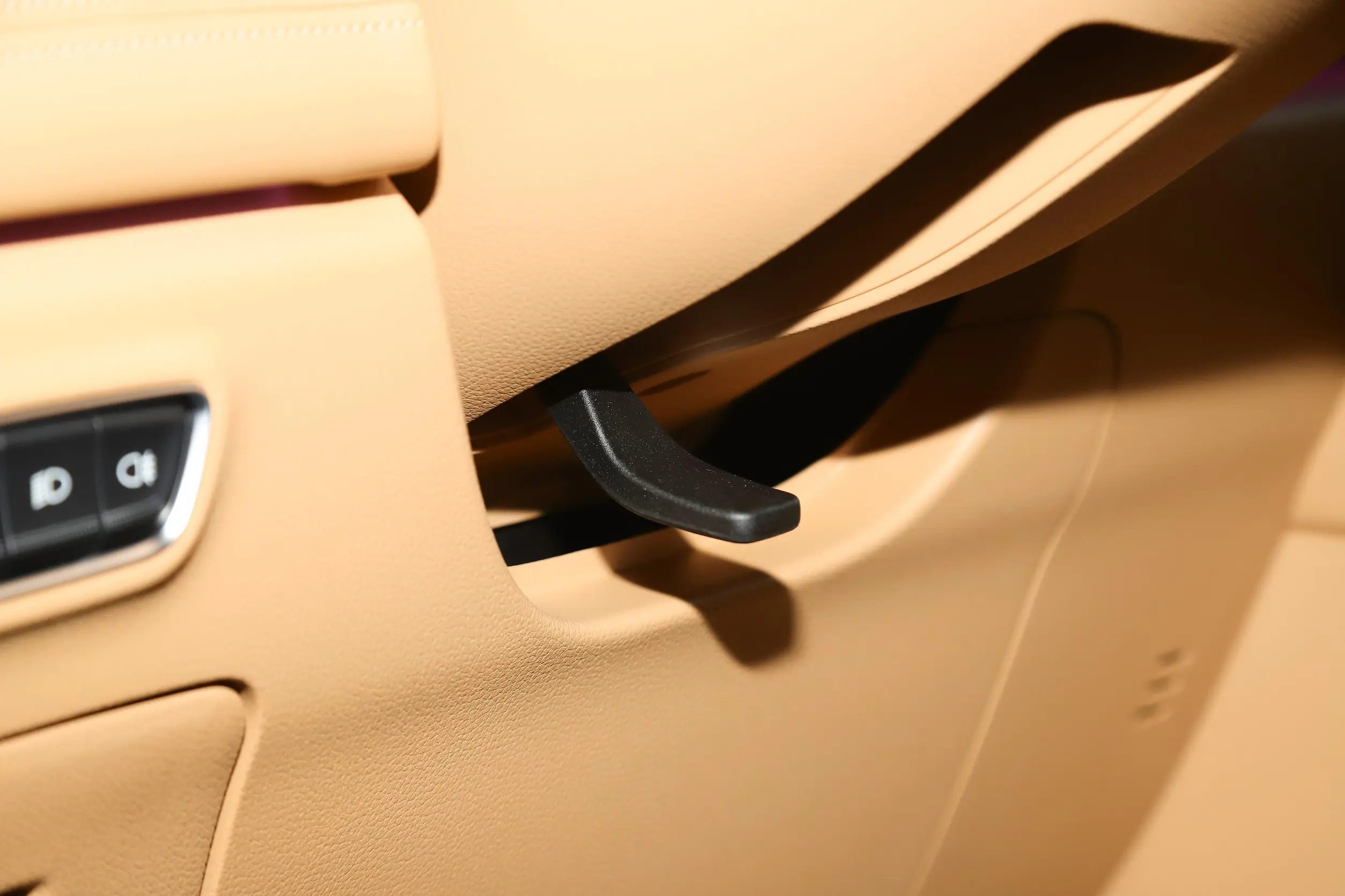 Voyah Dreamer EV picture (6)