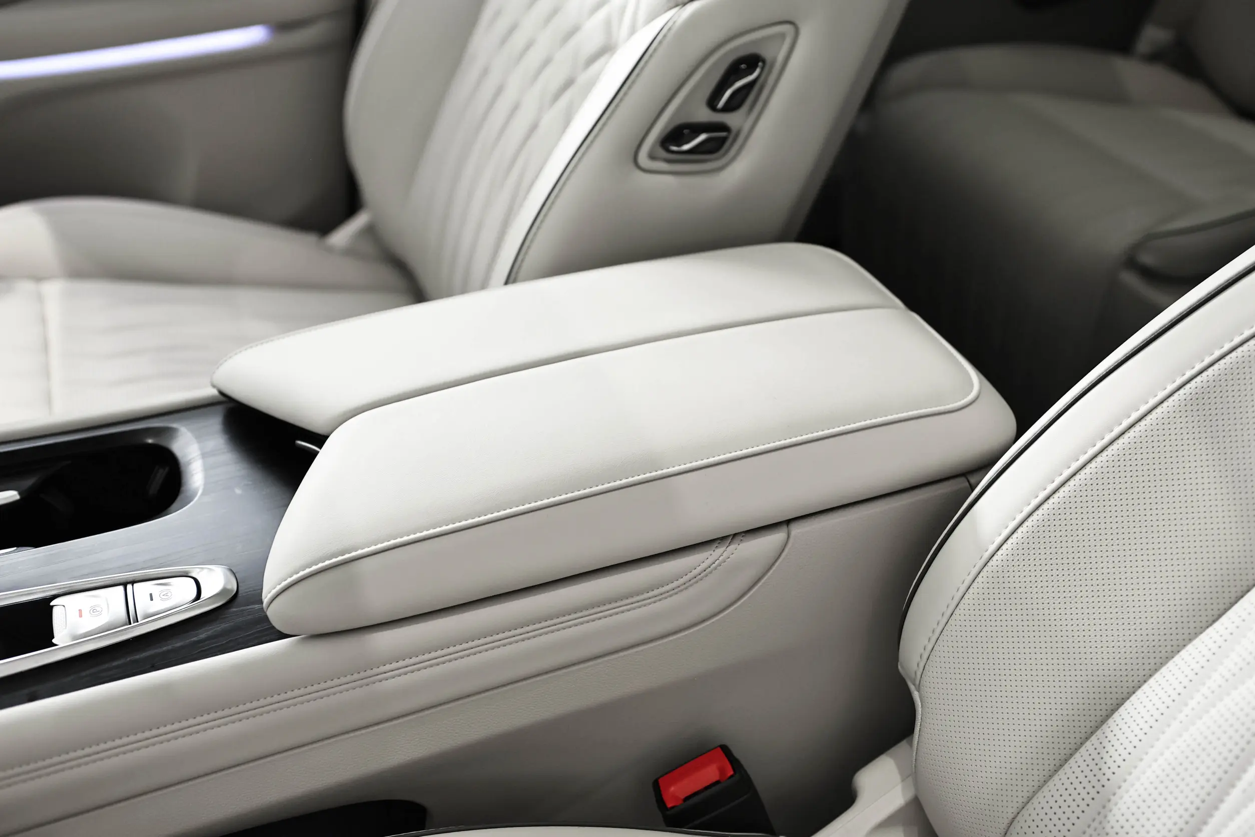 Voyah Dreamer PHEV picture (1)