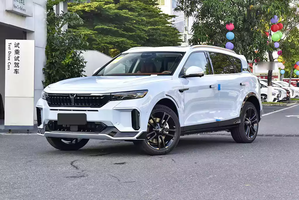 Voyah FREE picture (1)