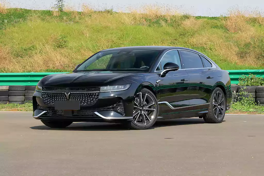 Voyah Passion PHEV picture (3)