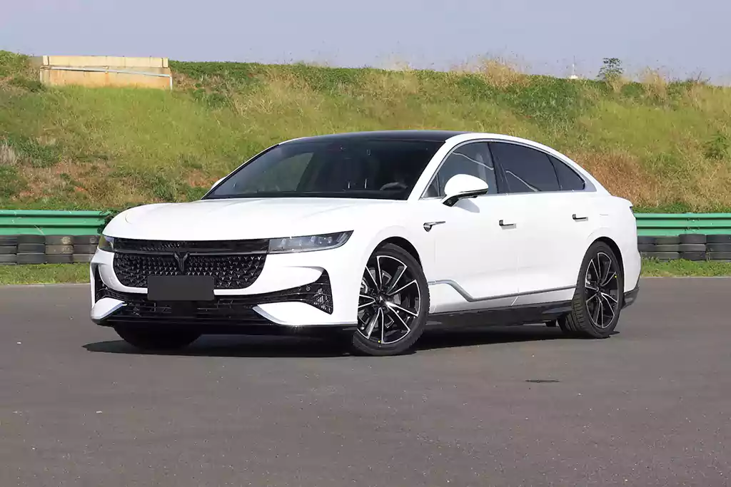 Voyah Passion PHEV picture (4)