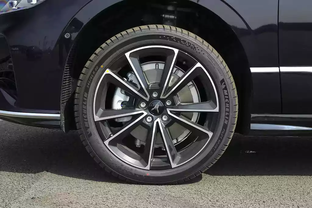 Voyah Passion PHEV picture (5)