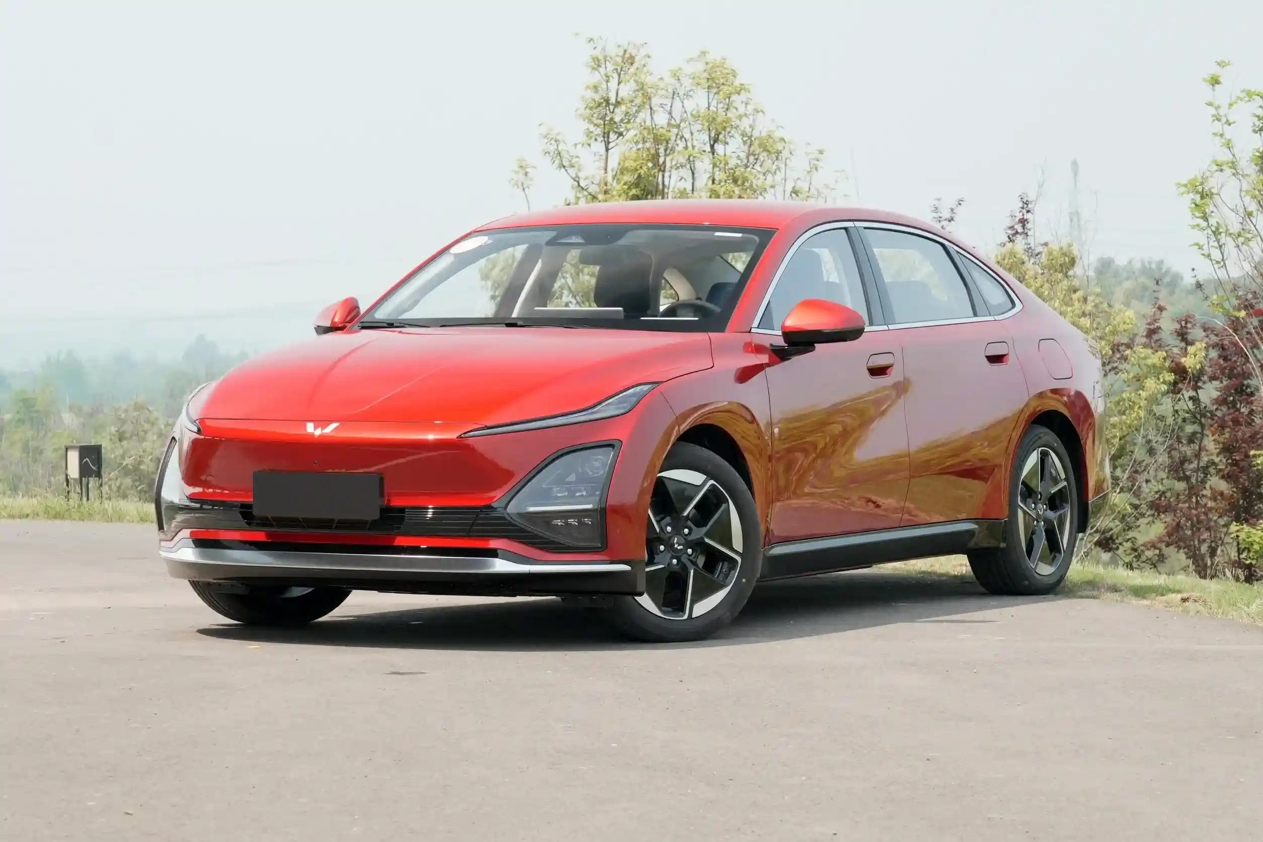 Wuling Xingguang EV picture (10)