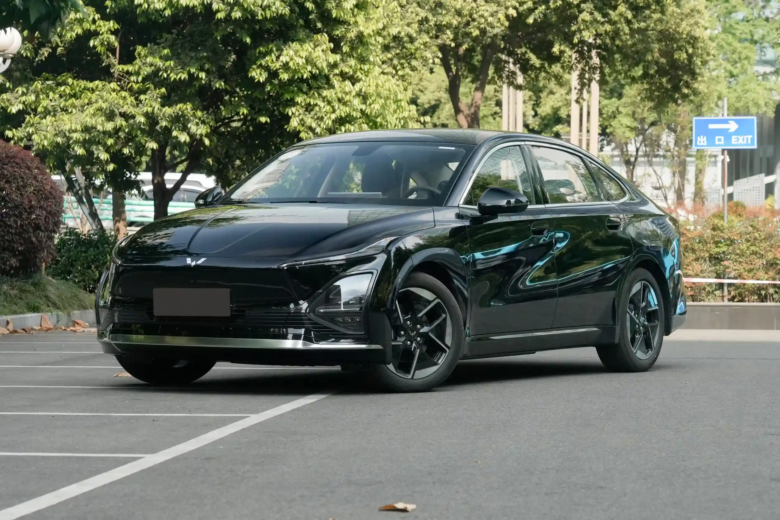 Wuling Xingguang EV picture (7)