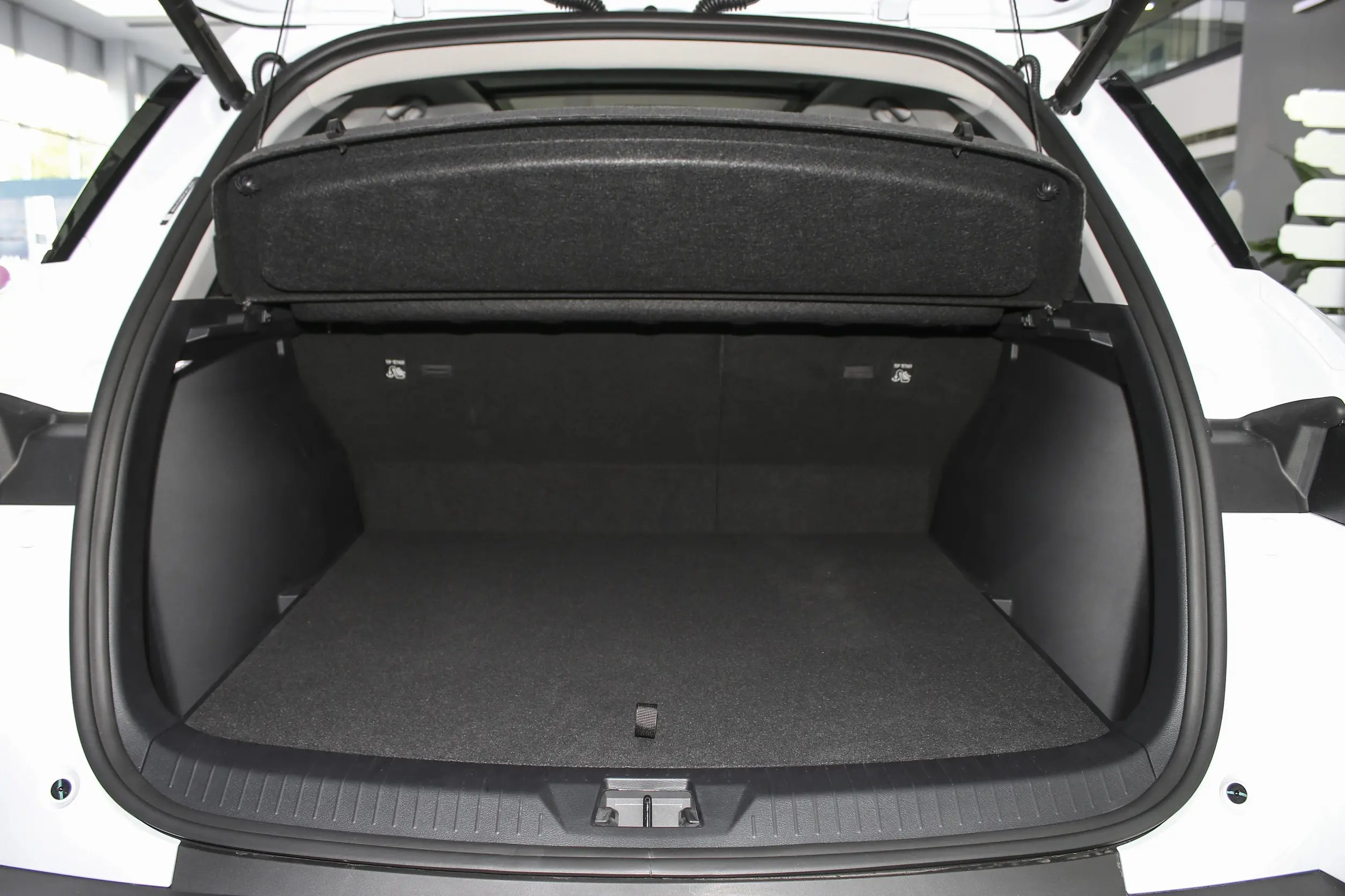 BYD Sea Lion 05 DM 2025 space-4