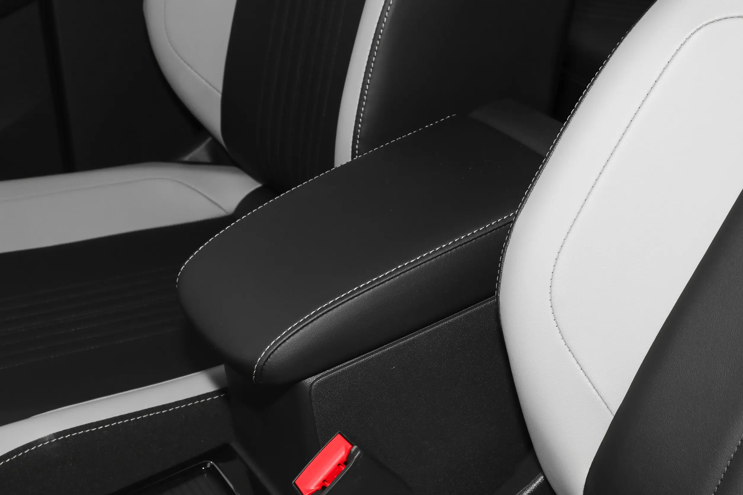 Jetta VS5 2024 picture (13)