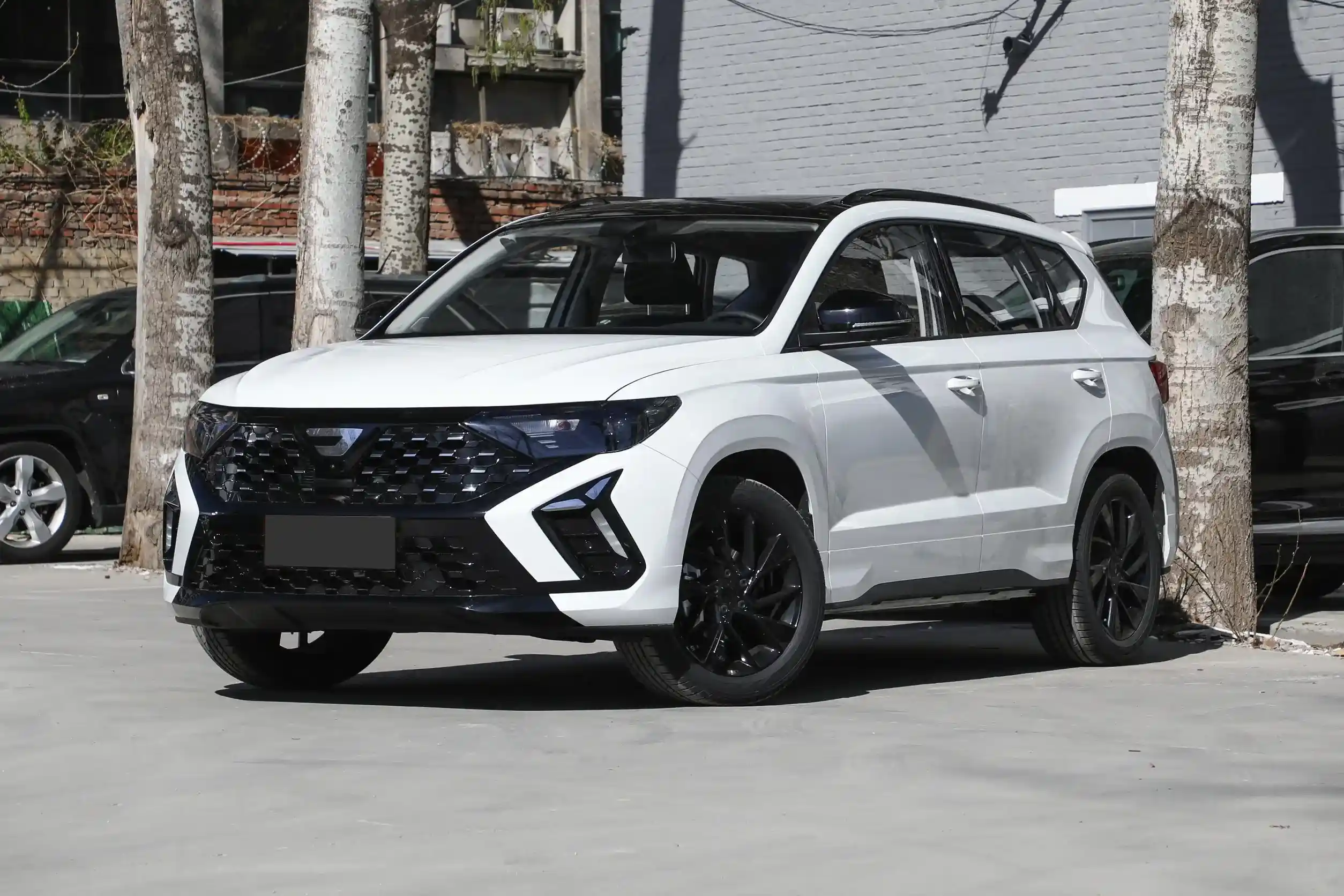 Jetta VS5 2024 picture (2)