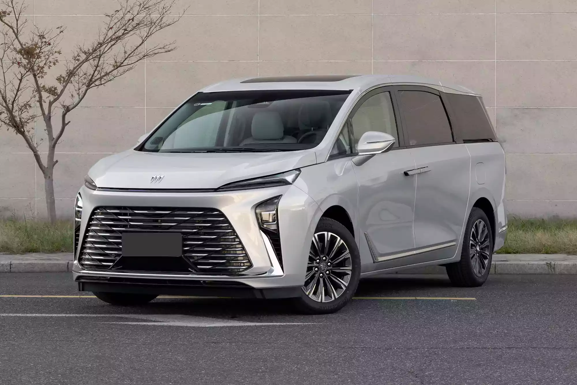 Buick GL8 2025 picture (1)