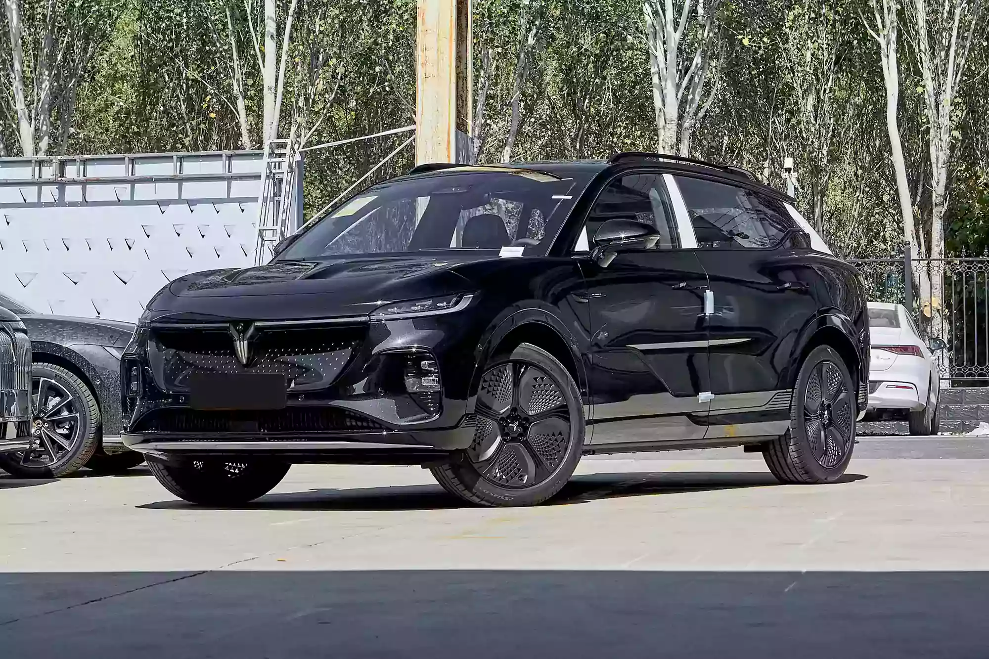 Voyah Courage 2024 picture (11)