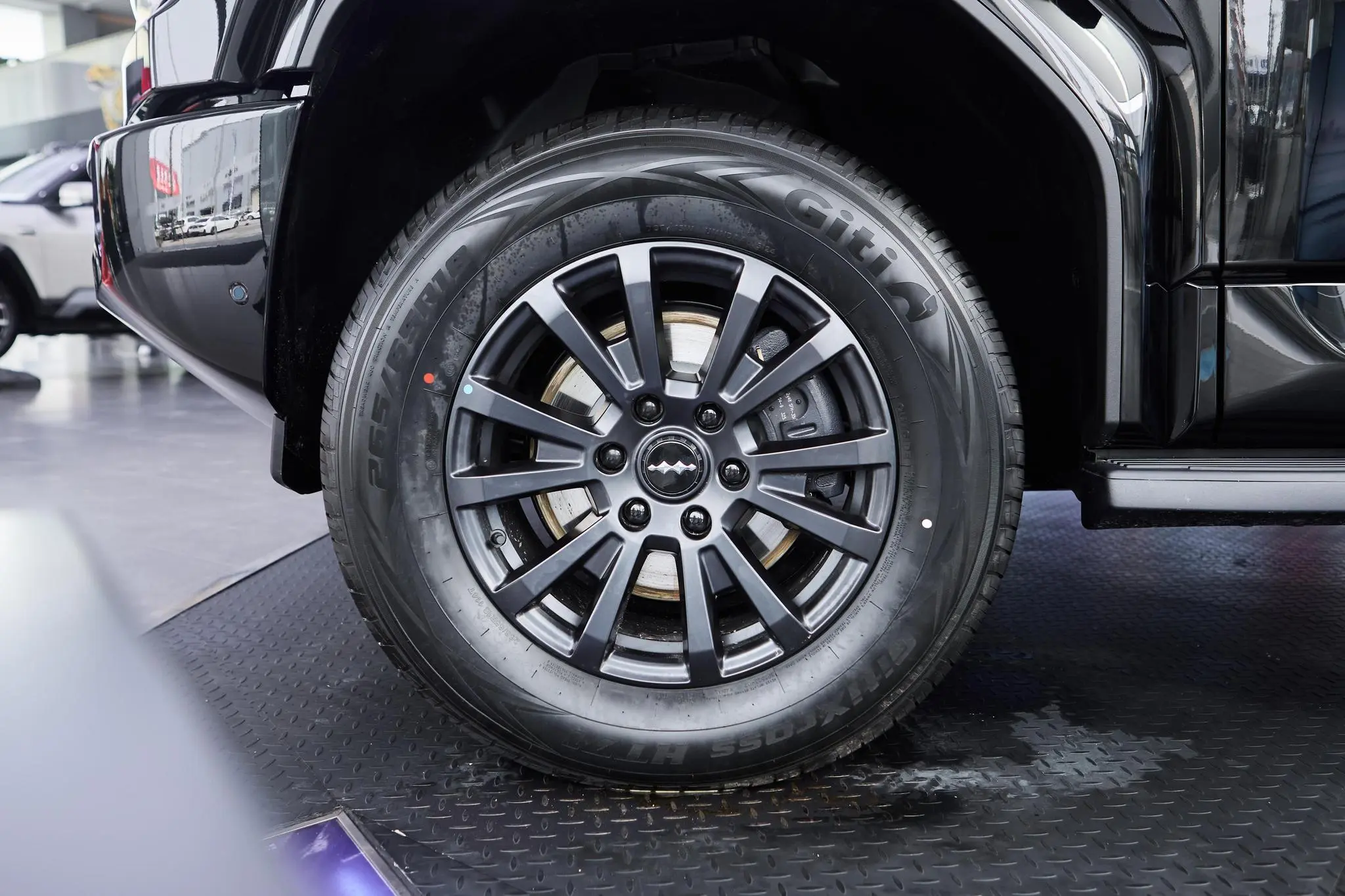 fangchengbao-leopard-5-2025-14